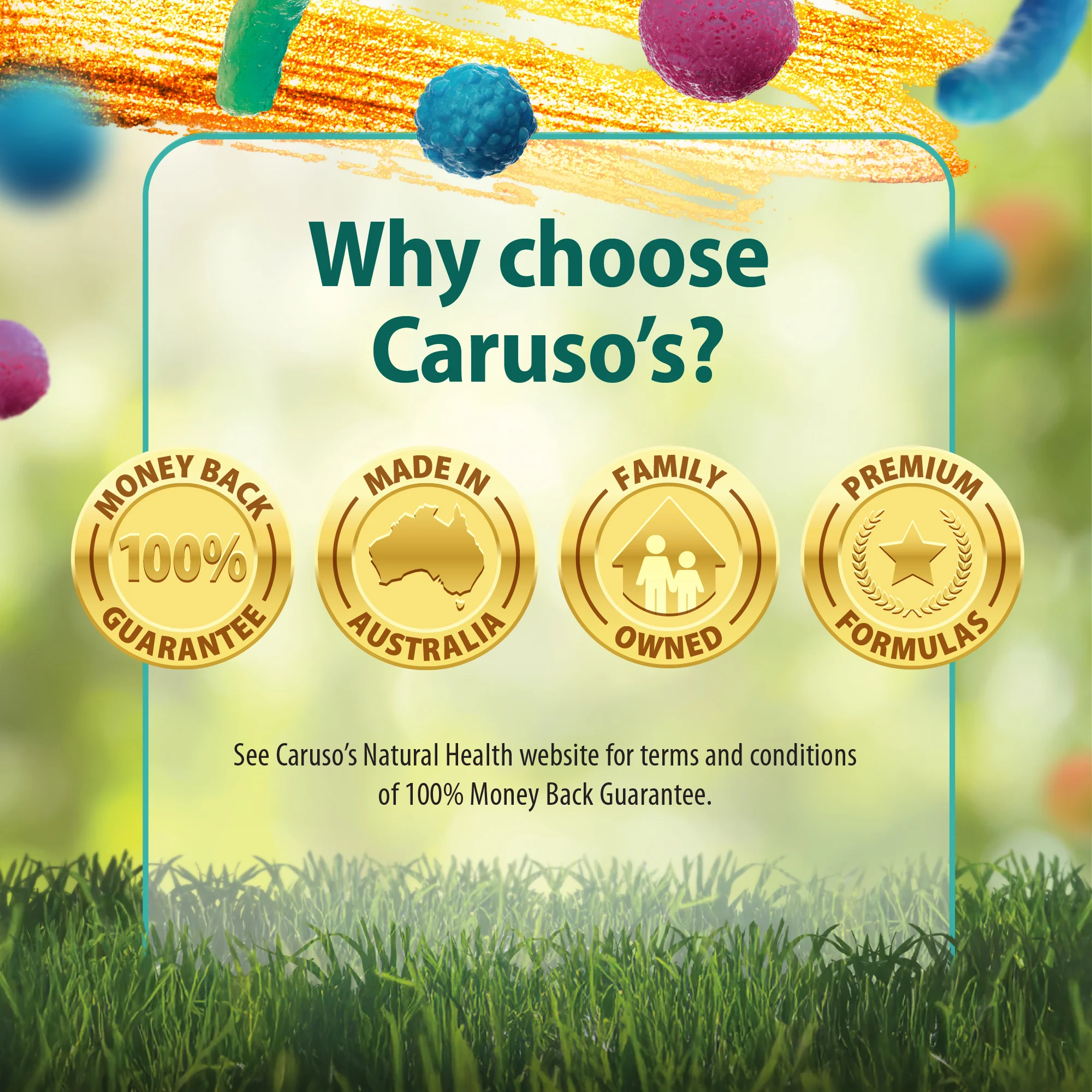 Caruso's IBS Fighter Probiotic - Image 5