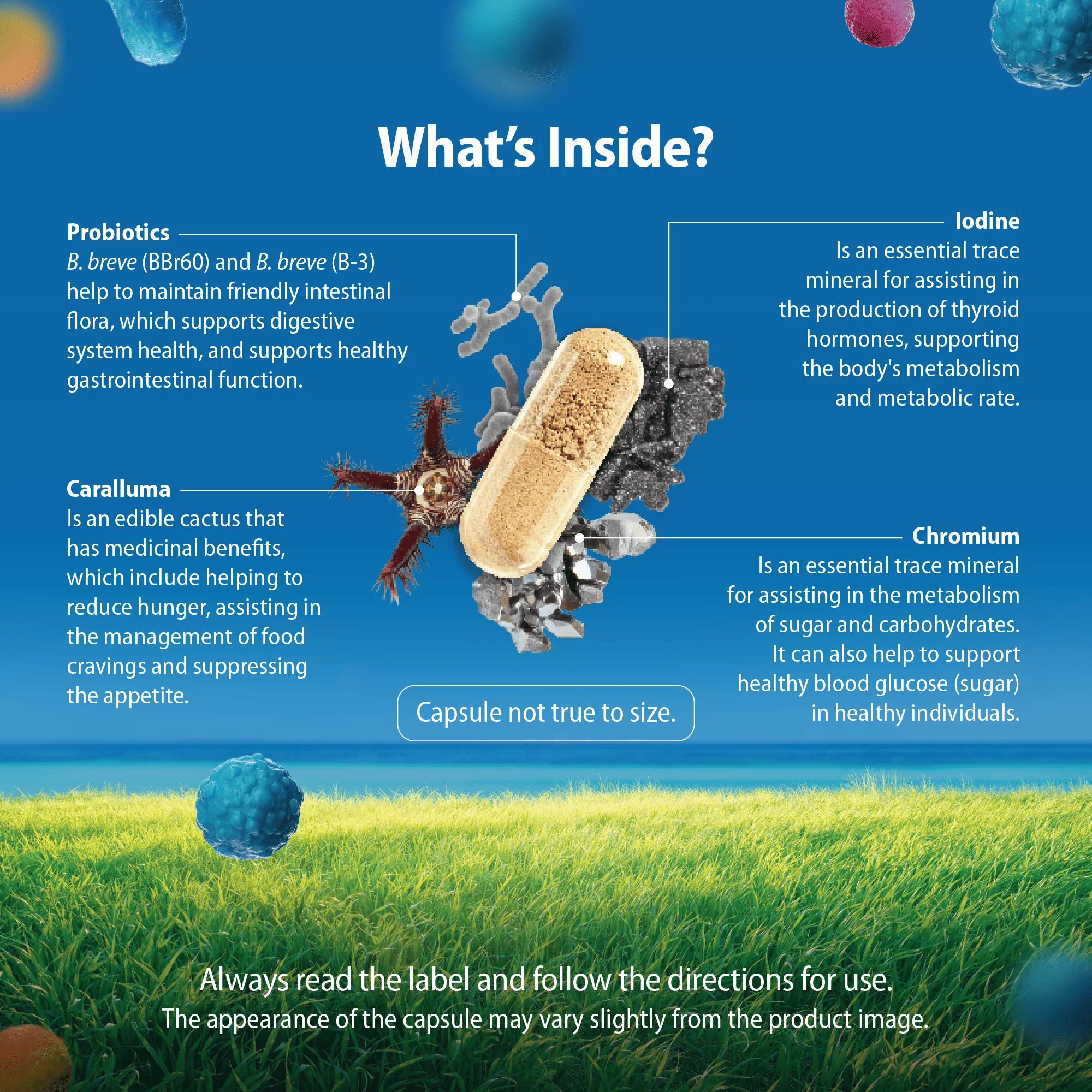 Caruso's Reduce Probiotic® - Image 4
